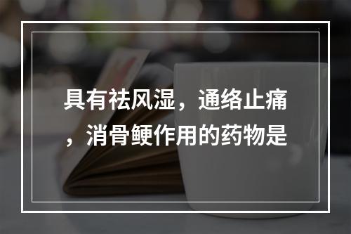 具有祛风湿，通络止痛，消骨鲠作用的药物是