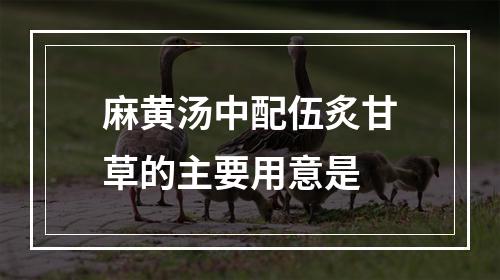 麻黄汤中配伍炙甘草的主要用意是