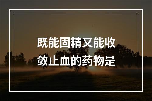 既能固精又能收敛止血的药物是