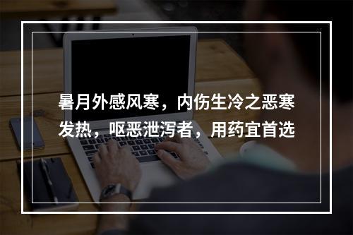 暑月外感风寒，内伤生冷之恶寒发热，呕恶泄泻者，用药宜首选