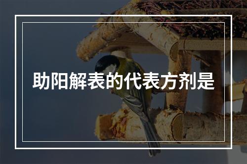 助阳解表的代表方剂是