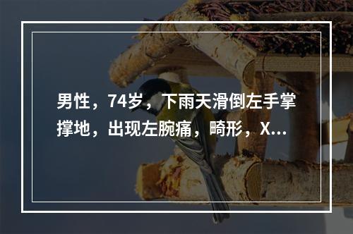 男性，74岁，下雨天滑倒左手掌撑地，出现左腕痛，畸形，X线摄