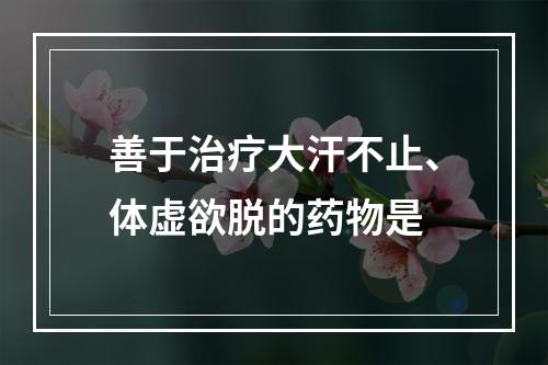 善于治疗大汗不止、体虚欲脱的药物是