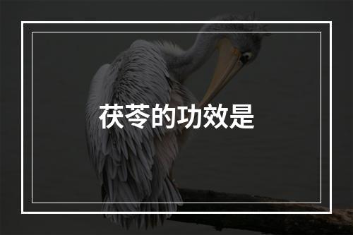 茯苓的功效是