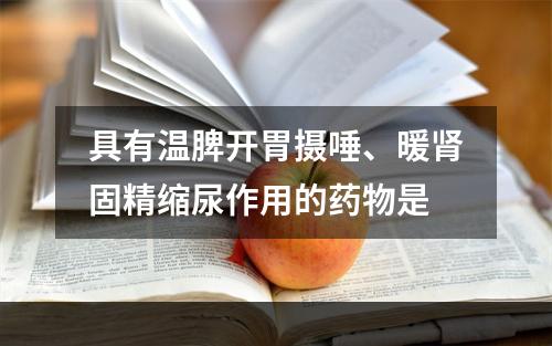 具有温脾开胃摄唾、暖肾固精缩尿作用的药物是