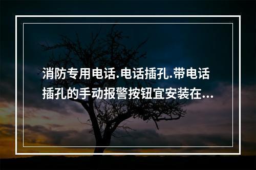 消防专用电话.电话插孔.带电话插孔的手动报警按钮宜安装在明显