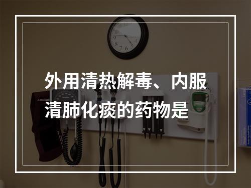 外用清热解毒、内服清肺化痰的药物是