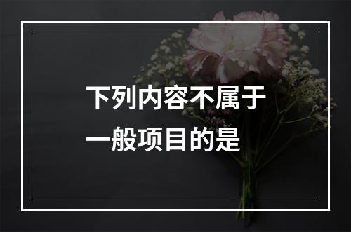 下列内容不属于一般项目的是