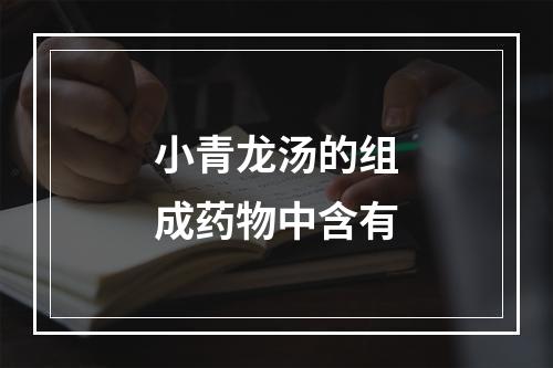 小青龙汤的组成药物中含有