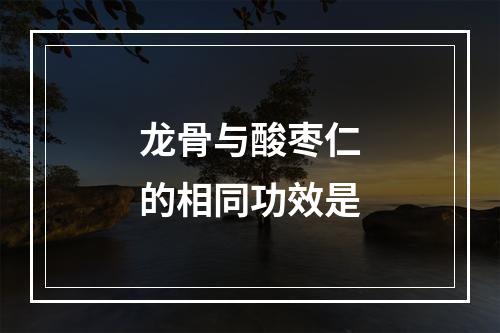 龙骨与酸枣仁的相同功效是