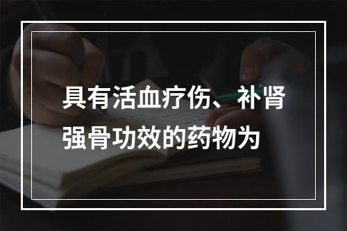 具有活血疗伤、补肾强骨功效的药物为