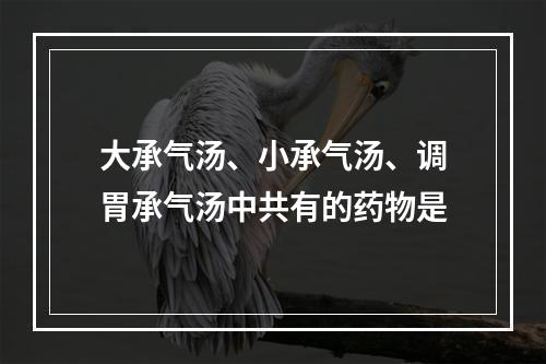 大承气汤、小承气汤、调胃承气汤中共有的药物是