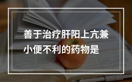 善于治疗肝阳上亢兼小便不利的药物是