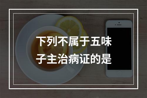 下列不属于五味子主治病证的是