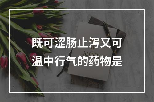 既可涩肠止泻又可温中行气的药物是