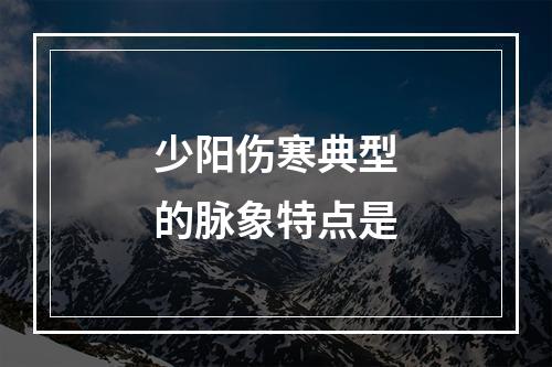 少阳伤寒典型的脉象特点是