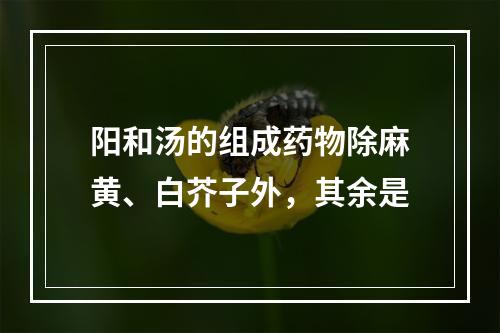 阳和汤的组成药物除麻黄、白芥子外，其余是