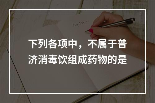 下列各项中，不属于普济消毒饮组成药物的是