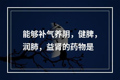 能够补气养阴，健脾，润肺，益肾的药物是