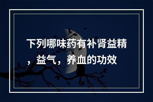 下列哪味药有补肾益精，益气，养血的功效