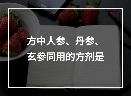 方中人参、丹参、玄参同用的方剂是