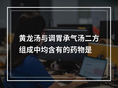 黄龙汤与调胃承气汤二方组成中均含有的药物是