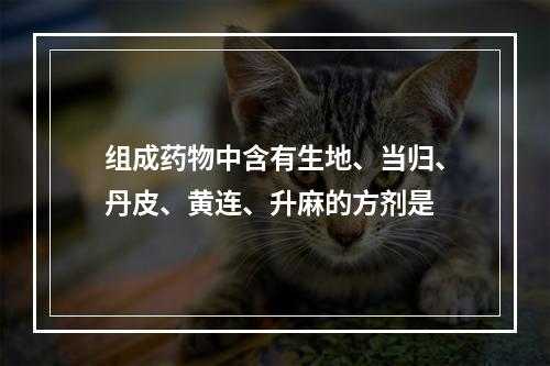 组成药物中含有生地、当归、丹皮、黄连、升麻的方剂是