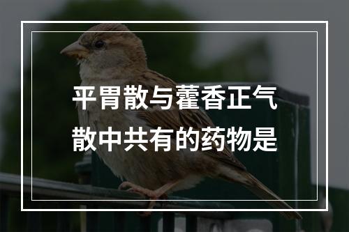 平胃散与藿香正气散中共有的药物是