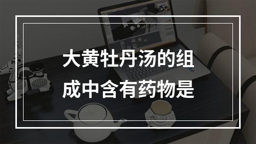 大黄牡丹汤的组成中含有药物是