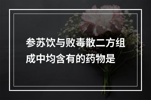 参苏饮与败毒散二方组成中均含有的药物是