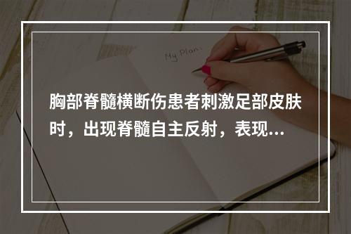 胸部脊髓横断伤患者刺激足部皮肤时，出现脊髓自主反射，表现包括