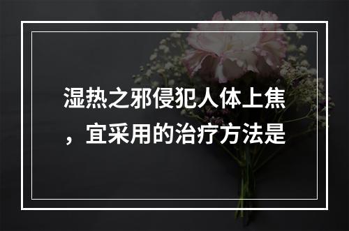 湿热之邪侵犯人体上焦，宜采用的治疗方法是