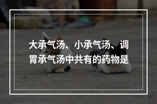 大承气汤、小承气汤、调胃承气汤中共有的药物是