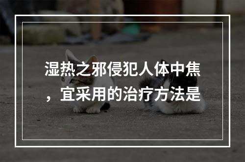 湿热之邪侵犯人体中焦，宜采用的治疗方法是