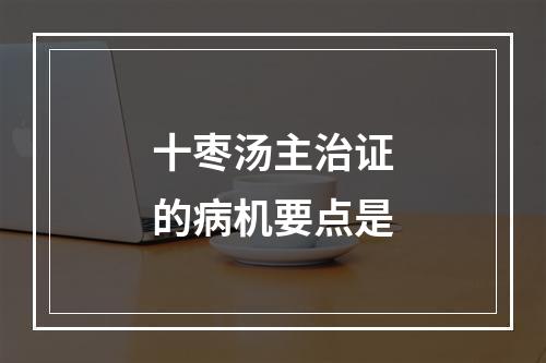 十枣汤主治证的病机要点是