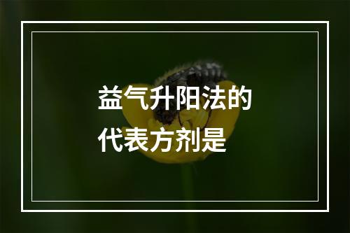 益气升阳法的代表方剂是