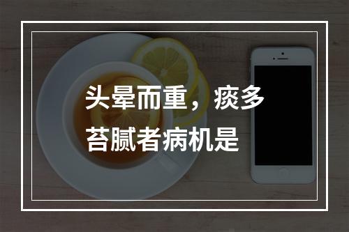 头晕而重，痰多苔腻者病机是