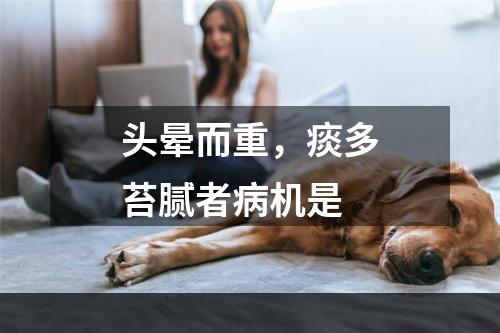 头晕而重，痰多苔腻者病机是