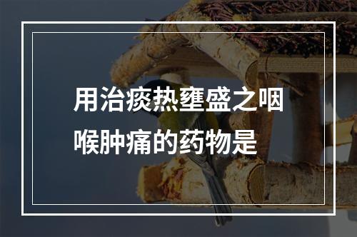 用治痰热壅盛之咽喉肿痛的药物是