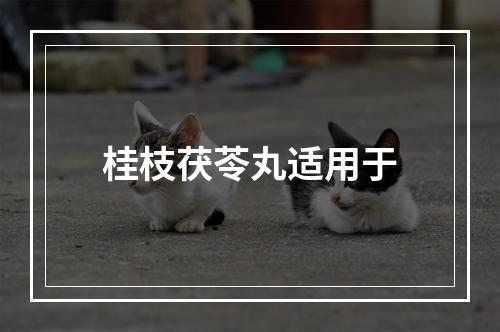 桂枝茯苓丸适用于