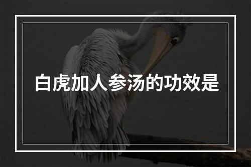 白虎加人参汤的功效是