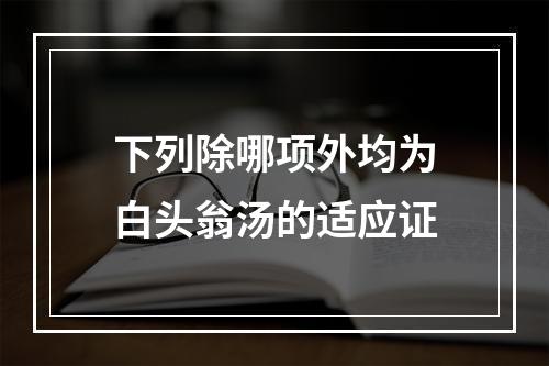 下列除哪项外均为白头翁汤的适应证