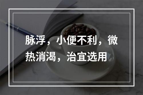 脉浮，小便不利，微热消渴，治宜选用