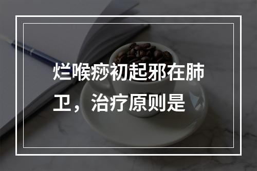 烂喉痧初起邪在肺卫，治疗原则是