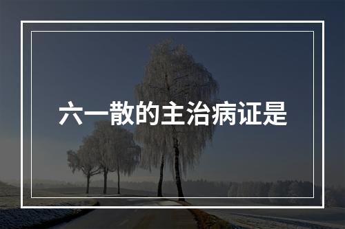 六一散的主治病证是