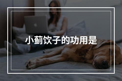 小蓟饮子的功用是