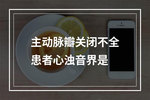 主动脉瓣关闭不全患者心浊音界是