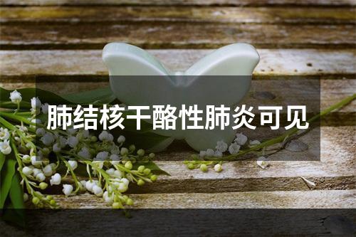 肺结核干酪性肺炎可见