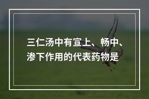 三仁汤中有宣上、畅中、渗下作用的代表药物是