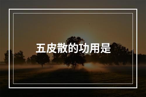 五皮散的功用是